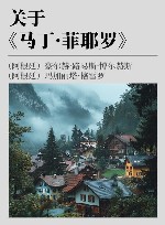 博尔赫斯全集  关于马丁·菲耶罗 封面