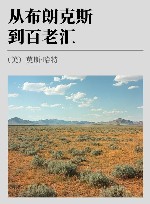 从布朗克斯到百老汇 封面