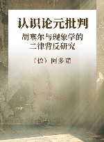 认识论元批判  胡塞尔与现象学的二律背反研究 封面