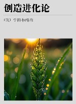 创造进化论 封面