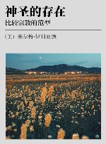 神圣的存在：比较宗教的范型 封面