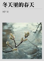 冬天里的春天 封面