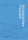 知识资源配置效率与组织绩效 封面