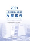 2023上海虹桥国际中央商务区发展报告 封面