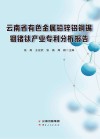 云南省有色金属铅锌铝铜锡铟锗钛产业专利分析报告 封面