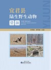 宜君县陆生野生动物资源 封面