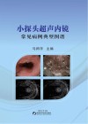 小探头超声内镜常见病例典型图谱 封面