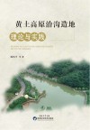 黄土高原治沟造地理论与实践 封面