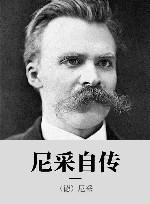 尼采自传 封面