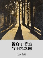 置身于苦难与阳光之间 封面