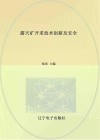 露天矿开采技术创新及安全 封面