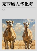 元西域人华化考 封面