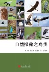 自然探秘之鸟类 封面