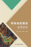 特殊地质路段处置技术 封面