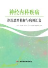 神经内科疾病诊治思路精解与病例汇集 封面