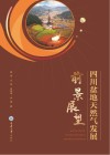 四川盆地天然气发展前景展望 封面