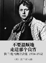 不要温顺地走进那个良宵  狄兰·托马斯诗合集  1934-1952 封面