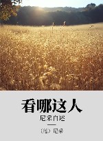 看哪这人  尼采自述 封面