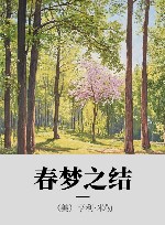 春梦之结 封面