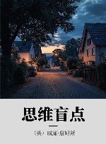 思维盲点 封面