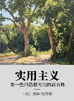 实用主义  一些旧思想方法的新名称 封面