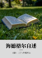 海德格尔自述 封面