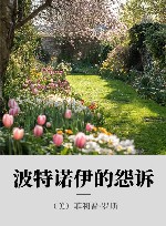 波特诺伊的怨诉 封面