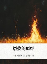 燃烧的原野 封面