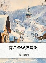 普希金经典诗歌 封面
