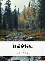 普希金诗集 封面