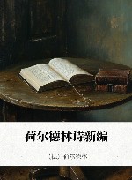 荷尔德林诗新编 封面