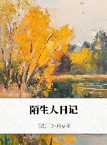 陌生人日记 封面
