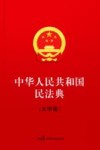 中华人民共和国民法典  大字版 封面