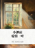 小酒店  爱情一叶 封面