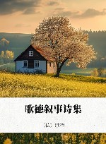 歌德叙事诗集 封面