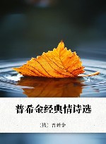 普希金经典情诗选 封面