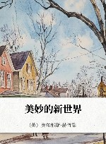 美妙的新世界 封面