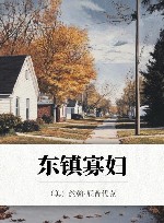 东镇寡妇 封面