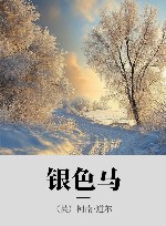 银色马 封面