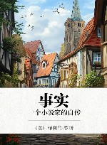 事实  一个小说家的自传 封面