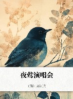 夜莺演唱会 封面