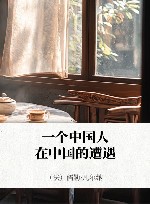 一个中国人在中国的遭遇 封面