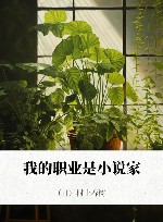 我的职业是小说家 封面