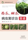 蔬菜病虫害诊治丛书  西瓜甜瓜病虫害诊治图谱 封面