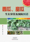 西瓜、甜瓜生长异常及预防图谱 封面
