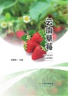 云南草莓 封面