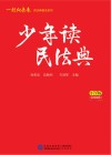 一起向未来民法典普法系列  少年读民法典  小学版 封面