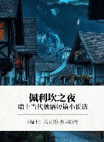 佩利坎之夜  瑞士当代德语短篇小说选 封面