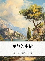 平静的生活 封面