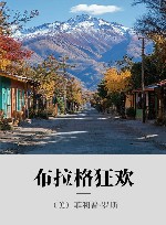 布拉格狂欢 封面